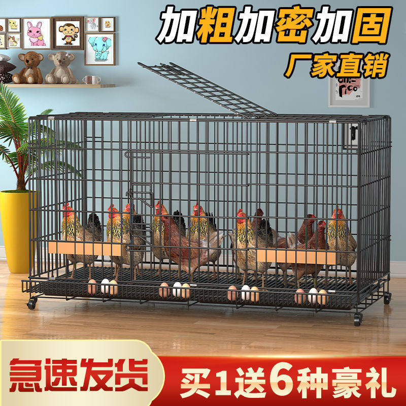 鸡笼子家用室外大号特大号下蛋养自动清粪滚蛋鸡舍折叠养殖笼