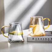 杯子高级感轻奢玻璃杯家用喝水带把手泡花茶杯耐高温待客创意套装