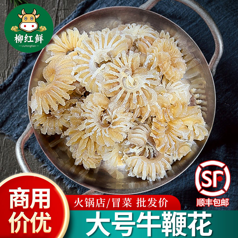 牛鞭花 黄牛鞭火锅食材 泡发半成品牛鞭新鲜火锅牛鞭花袋装非净重