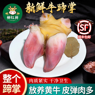 新鲜短牛蹄5斤黄牛蹄子