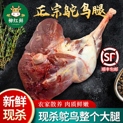 新鲜整个鸵鸟腿10斤鸵鸟肉