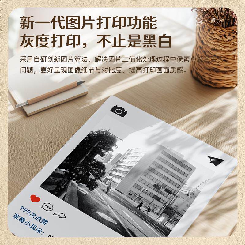 热销精臣B1/B21Pro高清印表机专用相纸黑白图像照片影印纸自印小