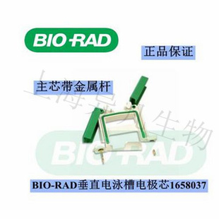 1658038垂直槽原装 电极芯 电泳芯 Rad1658037 伯乐Bio