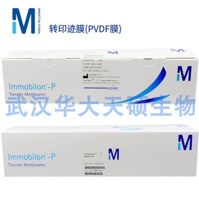 密理博Millipore PVDF膜IPVH00010硝酸纤维素转印膜NC膜HATF00010