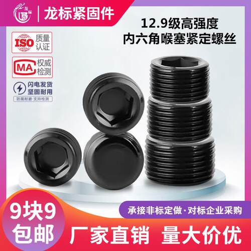 12.9高强度内六角喉塞紧定螺丝/BSP无头止付英制螺钉闷头油塞堵头