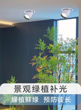 嵌入式植物生长灯射光灯龙舌兰ZJI雨缸室内全谱彷林太阳光植物光