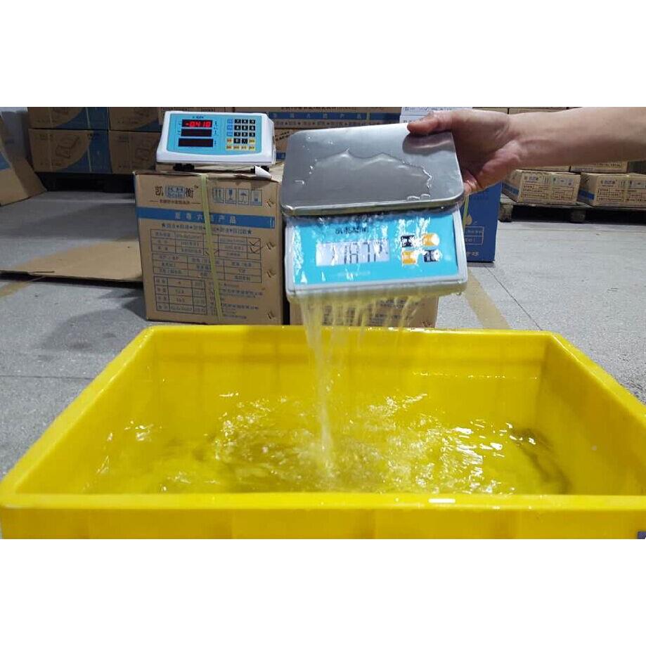 全防水计高精度重台称01.g小型防工潮克秤业食品加工海VGE产电子