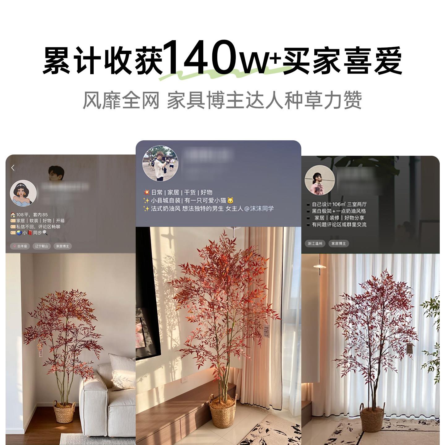 仿真生南天竹逼落地高绿植盆栽室PE红色南内仿植物客厅玄关级感真