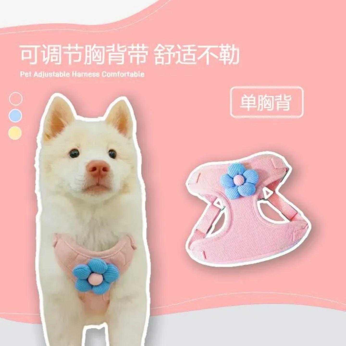 小狗狗牵引绳狗狗背心小型幼犬泰迪比熊博美比熊背带链子外出遛狗