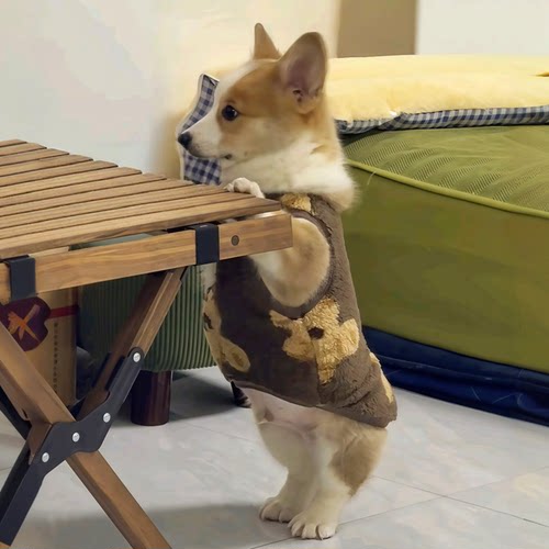 柯基衣服冬季保暖背心可牵引