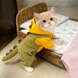 猫咪衣服可爱恐龙连帽四脚衣布偶英短三花无毛猫宠物狗狗棉衣加厚