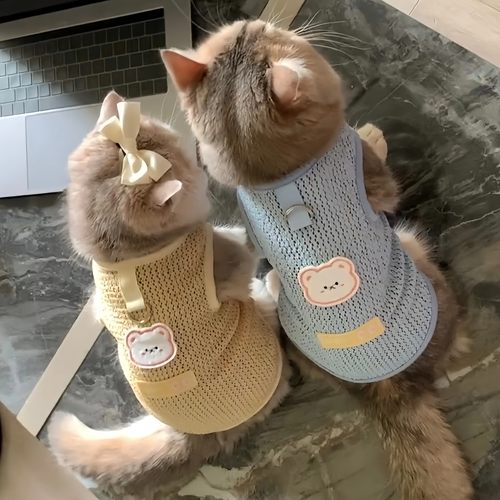 猫咪衣服夏季薄款透气背心可牵引防掉毛小熊贴布德文狗狗防晒服饰