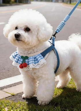 小型幼犬防挣脱口水巾牵引绳