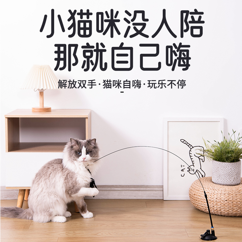 解闷神器逗猫棒吸盘阿莫尔自嗨