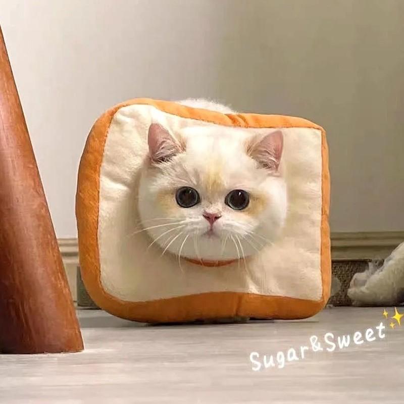 猫咪防舔咬柔软可调节伊丽莎白圈