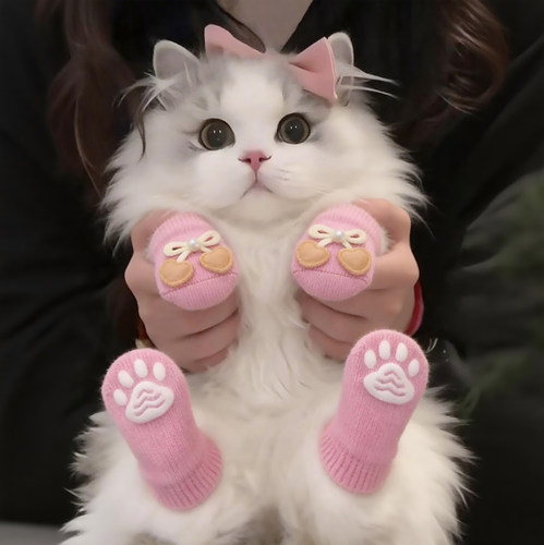 猫咪袜子防滑防脏保暖脚套防抓防挠猫爪套布偶幼防掉宠物可爱袜子