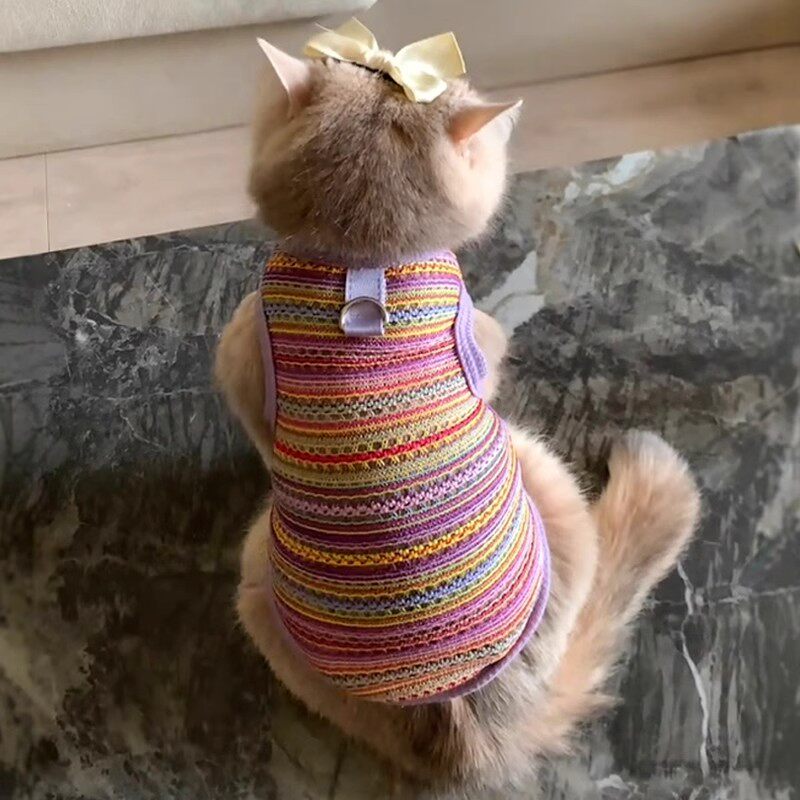 猫咪衣服夏季薄款镂空网织背心防掉毛可牵引德文猫小狗狗透气服饰