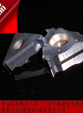 德国CPT16ER 16ACME BMA /14ACME/12ACME/29度梯形螺纹刀片卡麦斯