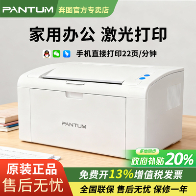家用政府补贴20%奔图P2506W