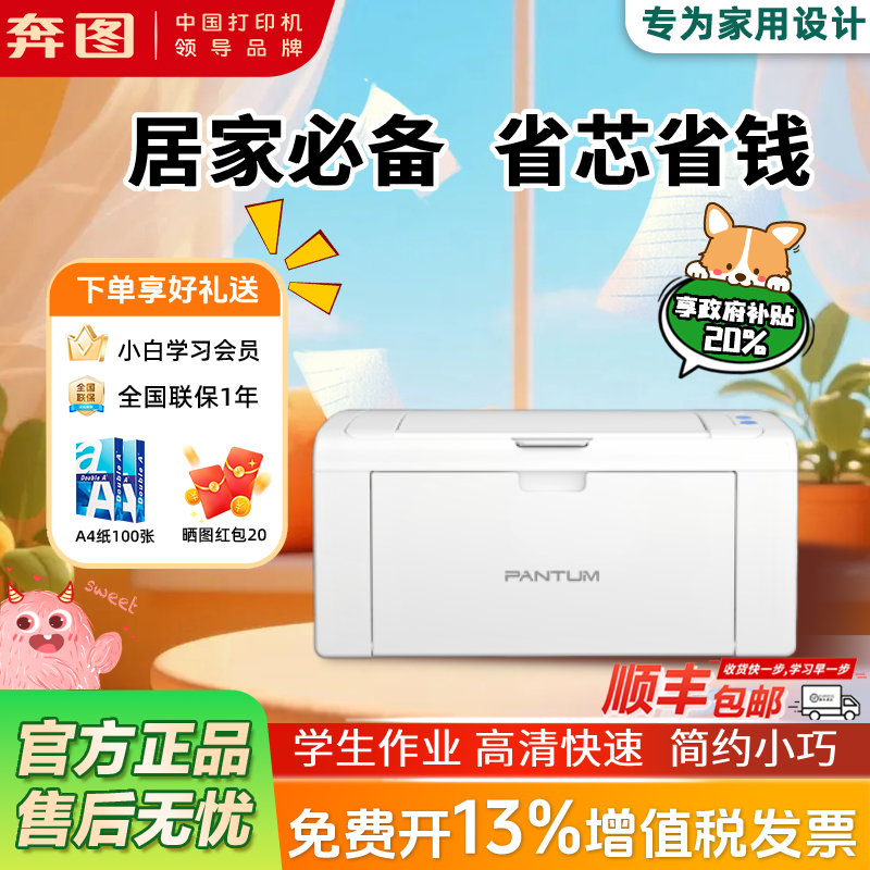 家用政府补贴20%奔图P2210W