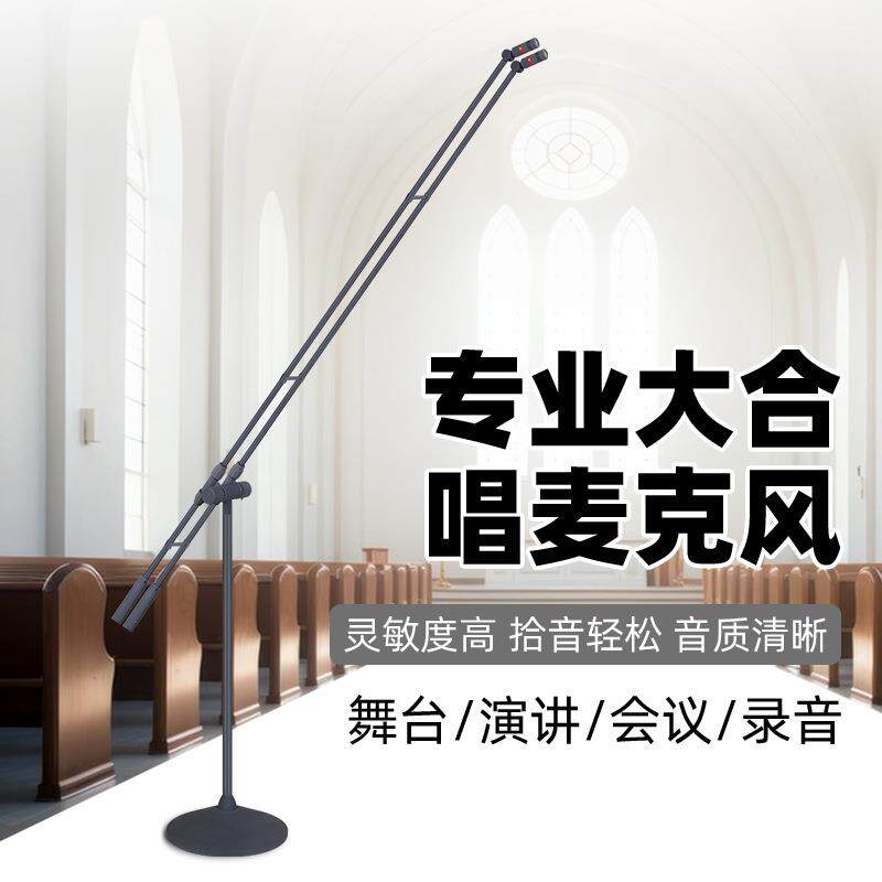 立式双杆演讲话筒演唱电容麦礼堂舞台有线麦克风超心型指向声卡