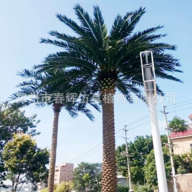 仿真海藻树中东海藻树假海枣树室外园林景观海藻树