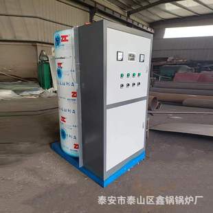 小型電加熱蒸汽發(fā)生器 性能穩(wěn)定噪音小工廠小區(qū)學(xué)校供暖鍋爐