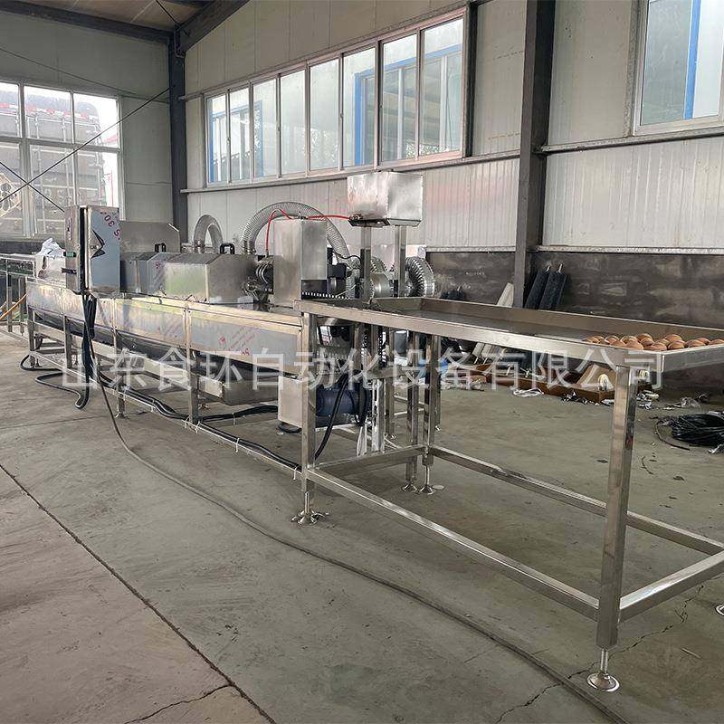 全自动洗蛋机不锈钢鸡蛋清洗机新型全自动禽蛋类清洗设备厂家,清洗/食品/商业设备,其他食品加工设备,淘宝优惠券,粉丝福利购,淘宝优惠卷