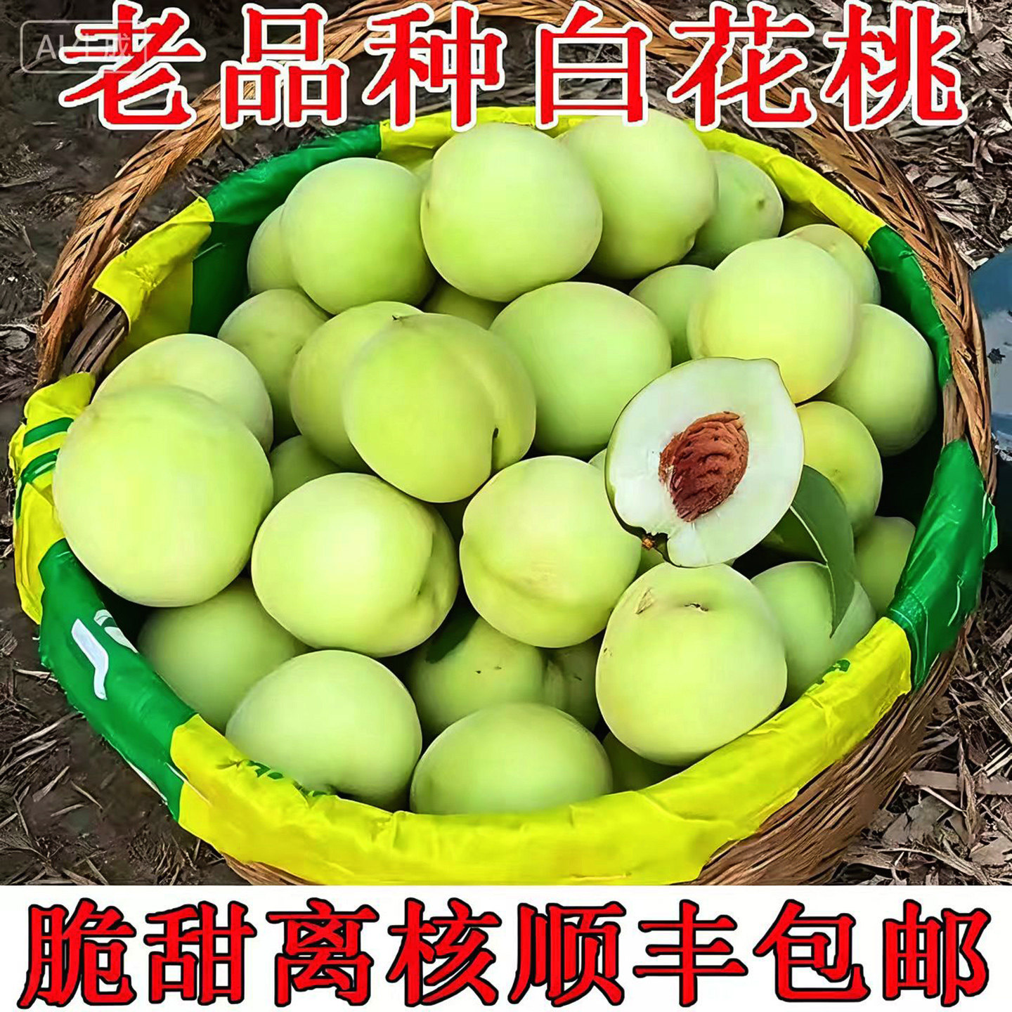 正宗白花桃老品种脆甜六月脆桃