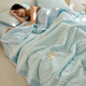 日系全棉夏凉被A类空调被可机洗纯棉夏被单双人夏季 薄被子