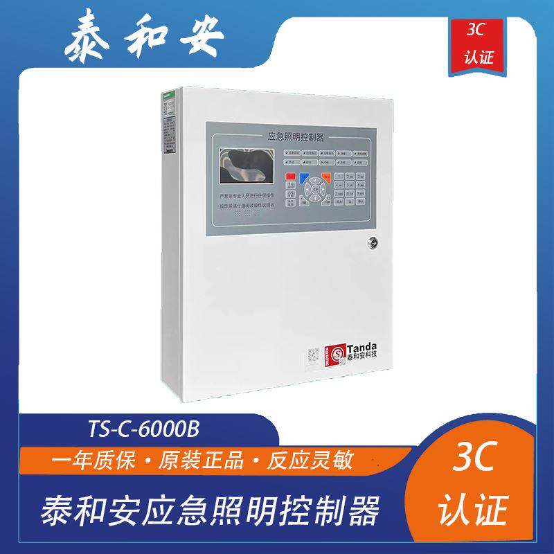 泰和安应急照明控制器TS-C-6000B壁挂主机照明电源箱购买请先咨询图片