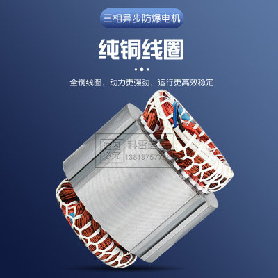 。EX防爆锥形转子三相异步电动机BZD32-4 4.5KW 电动葫芦主起升电
