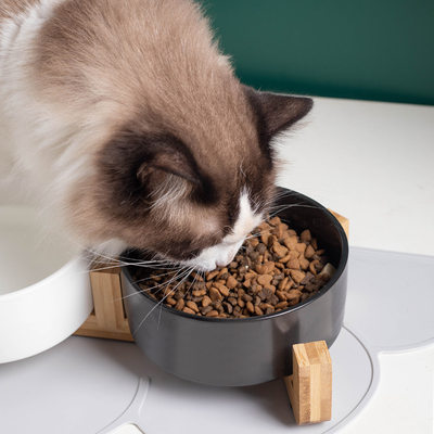 猫碗陶瓷双碗水碗一体木架防滑防打翻猫狗碗粮碗饮水碗黑色宠物碗
