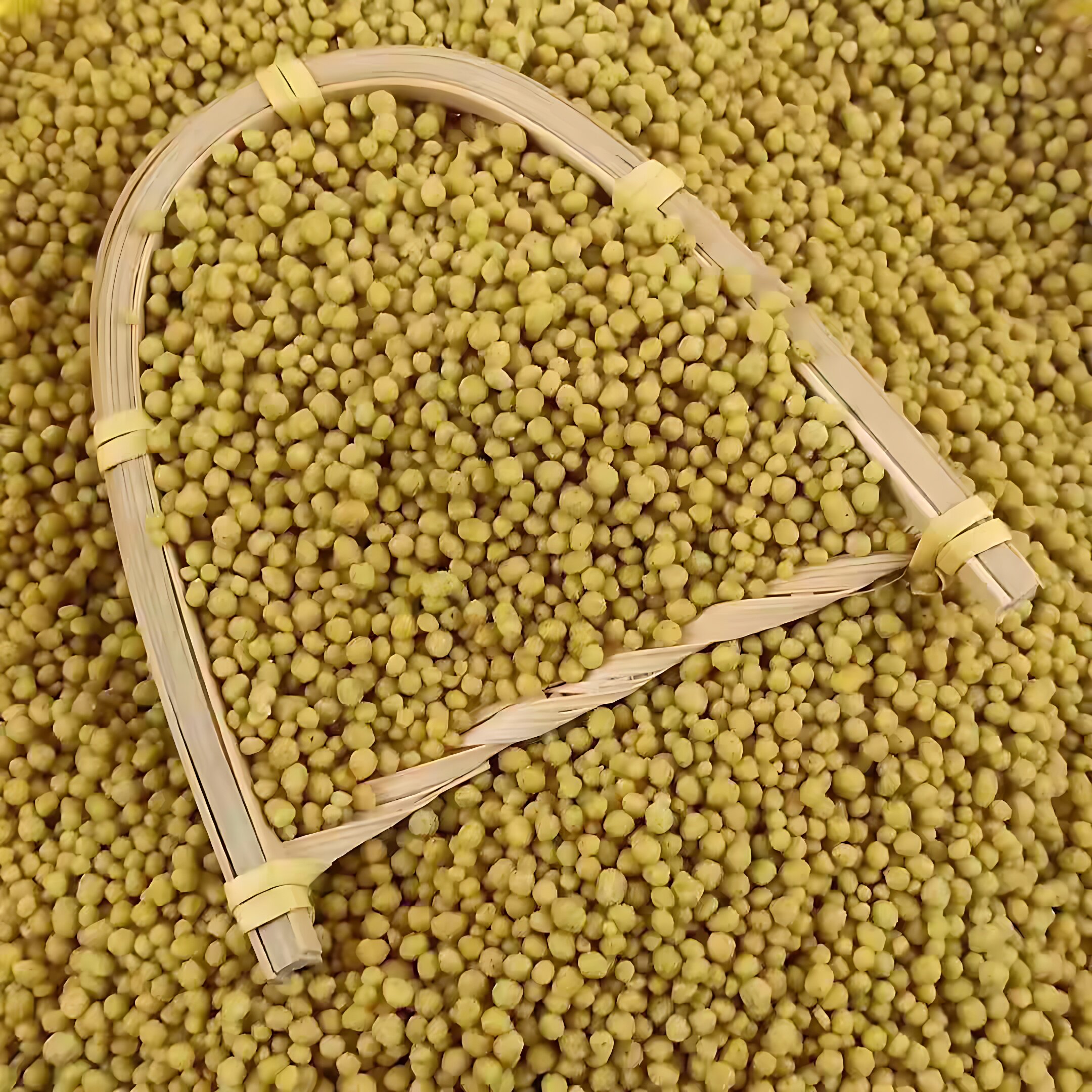 正宗威宁苦荞黑苦荞饭袋装贵州特产荞米黑苦乔麦芥疙瘩饭杂粮粗粮