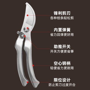 修花剪刀修枝剪园林园艺家用省力剪果树花枝采摘水果嫁接专用剪刀