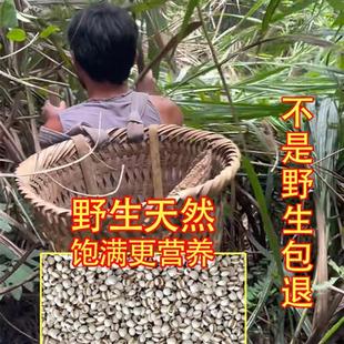 纯野生小薏米500g新鲜红豆祛湿茶去湿气仁新货茯苓芡实赤小豆苡仁