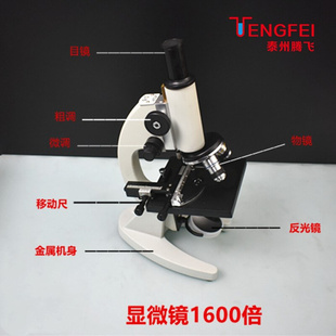 高中生物实验仪器器材 显微镜1600倍带尺 实验室教学仪器