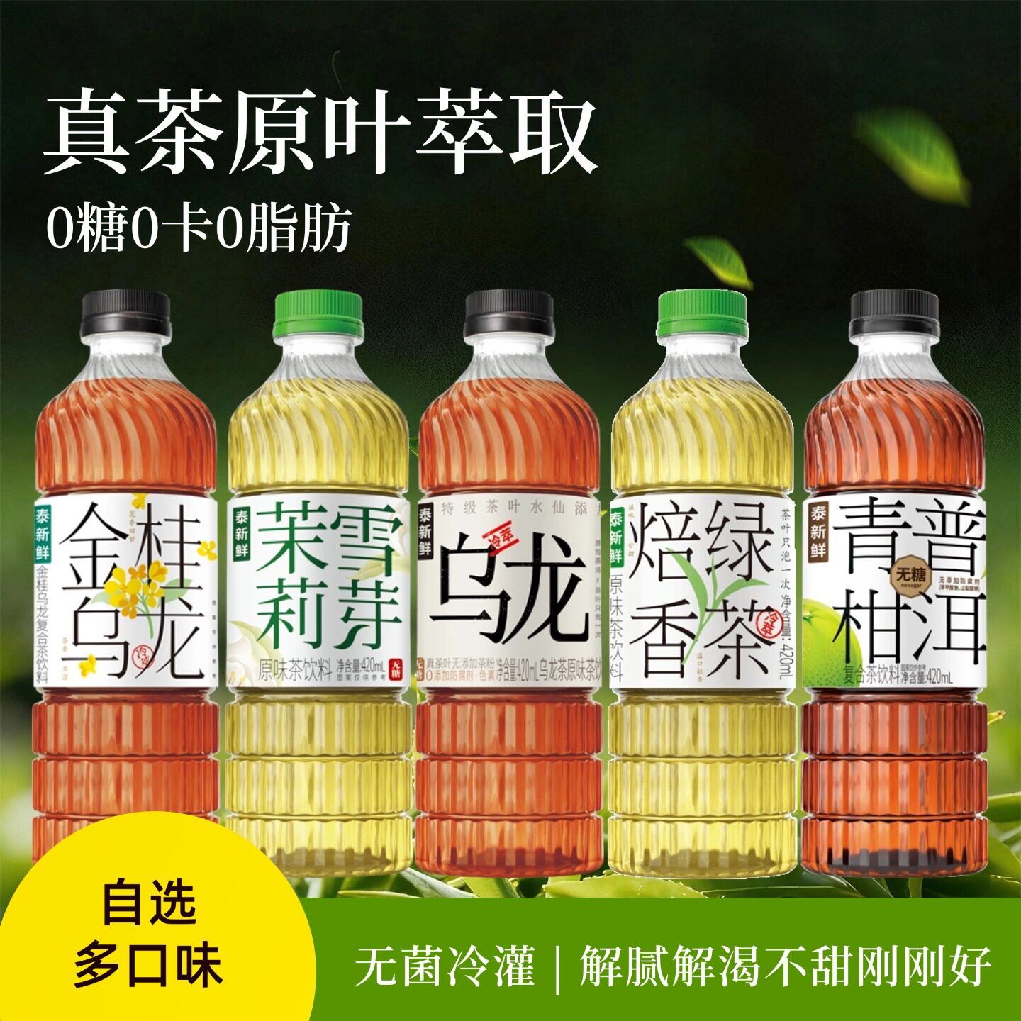 泰新鲜无糖茶饮多口味茶饮料茉莉雪芽金桂乌龙茶青柑普洱焙香绿茶图片
