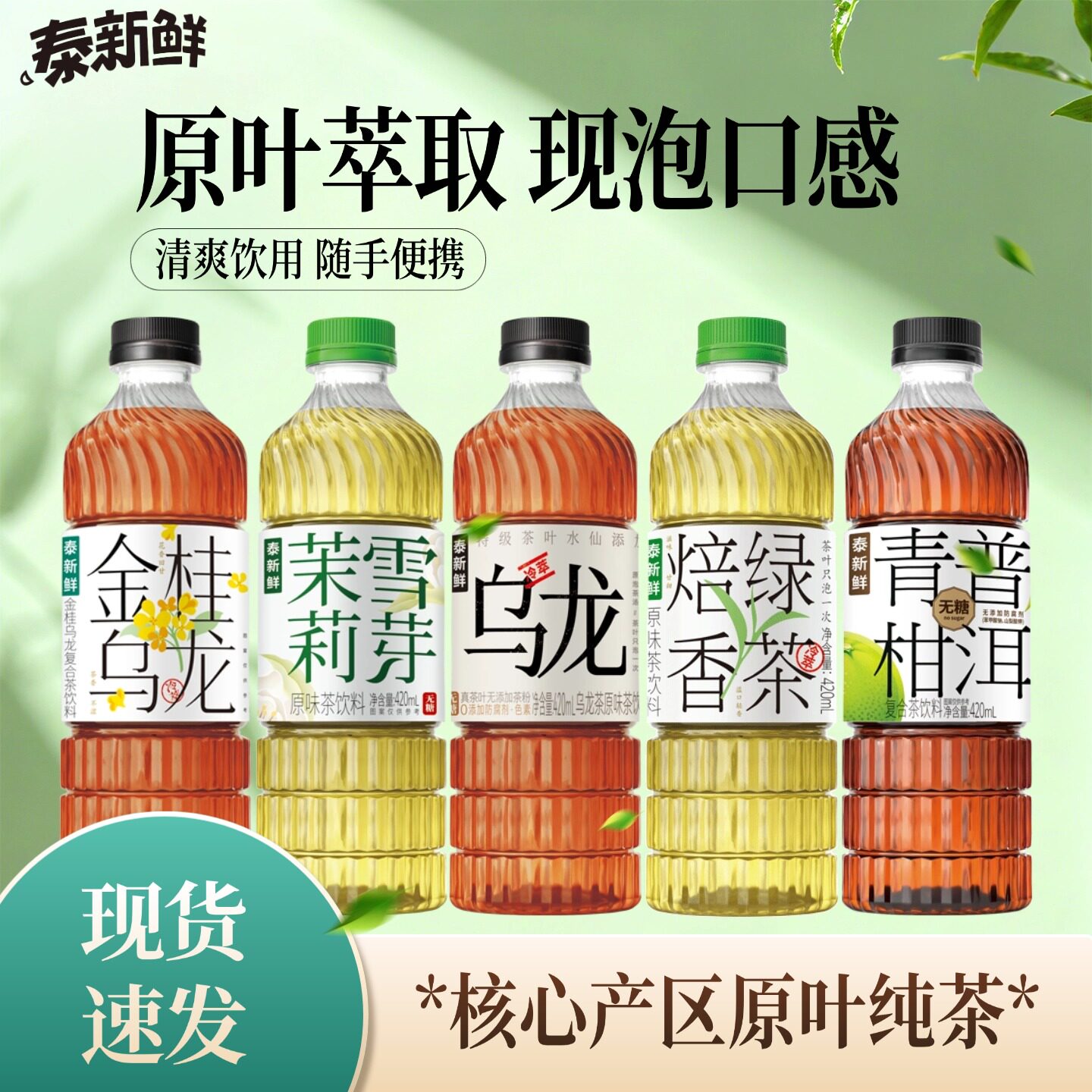 泰新鲜无糖茶饮料茉莉雪芽乌龙茶金桂乌龙青柑普洱0糖0卡0脂茶饮图片