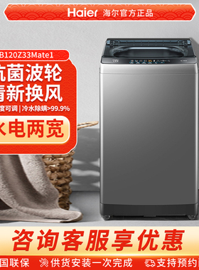 Haier/海尔 EB120Z33Mate1