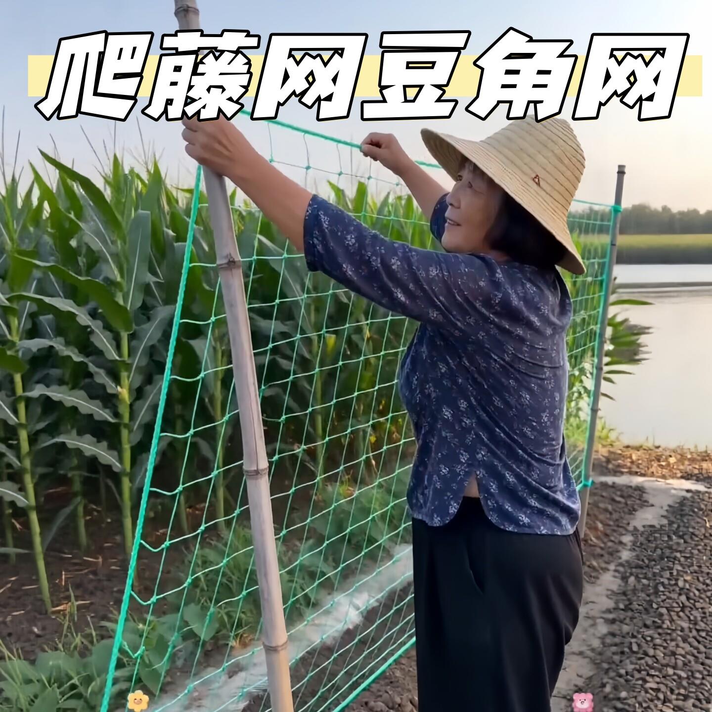 爬藤网植物攀爬网加粗植物蔬菜丝瓜豆角黄瓜百香果菜园西瓜吊瓜网