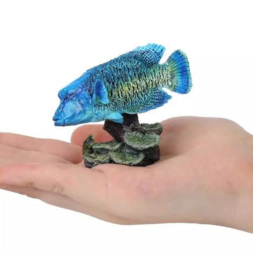 限购5/现货海洋大图鉴