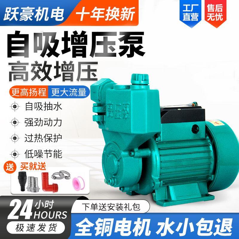 德国进口自吸泵220v家用高扬程大流量自来水管道增压泵抽水机井用