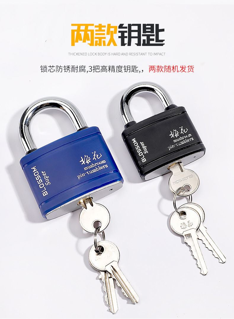 梅花牌新款小锁号门箱包