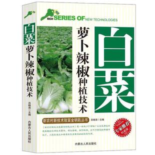 正版包邮 白菜萝卜辣椒种植技术栽培技术病虫害防农业种植系列读物书籍图文版科学致富种植养殖农村安全生产农业