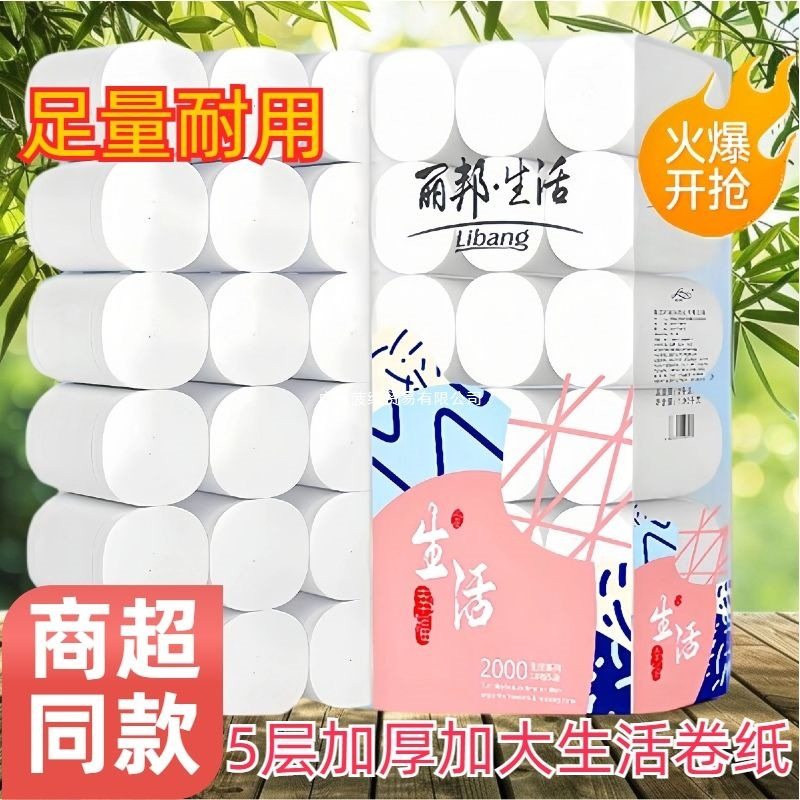 丽邦卫生纸卷纸家用大卷纸巾 大包宿舍妇婴厕纸厕所卷筒纸手纸