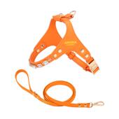 式 小型犬狗狗牵引绳胸背arkika约克夏茶杯泰迪宠物网红外出遛狗绳
