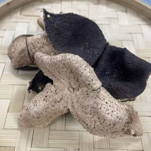 2007年新会东甲圈枝二红皮