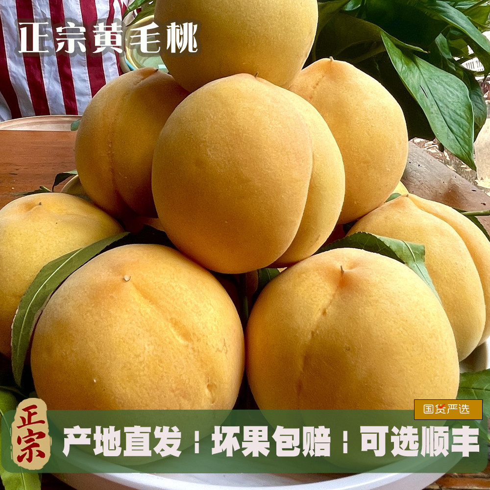 正宗山东蒙阴黄桃新鲜水果