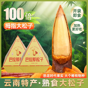 巴拉那松子云南特产正宗拇指大松子开口手剥松子坚果礼盒新年送礼